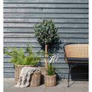 Bogor Kurve - 4 runde kurve i kubu med plastik indeni