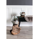 San Marino Waterdrop - Vanddråbe skål i glas med træfod h15-20 cm