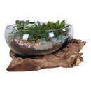 San Marino Waterdrop - Vanddråbe skål i glas med træfod ø26xh20 cm