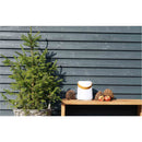 House Nordic - Bristol LED Lampe H21 cm