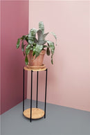 Blomsteropsats i træ fra Day med grøn plante 