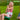 Jungle Gym Twist Disk kit sæt grøn - Bolig og Haven