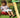 Jungle Gym Swing sæde, komplet kit - Bolig og Haven