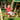 Jungle Gym Swing sæde, komplet kit - Bolig og Haven