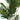 House Nordic - Areca Palme, kunstig palme 175 cm - Bolig og Haven