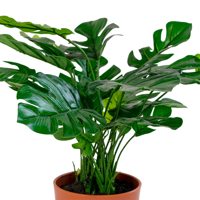 Monstera - Kunstig plante 45 cm