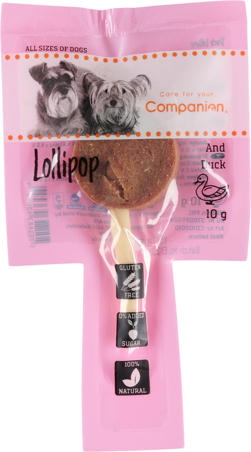 Companion - Lollipop and - 10g