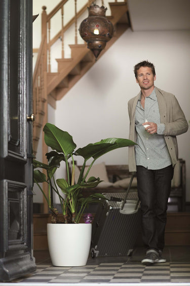 En mand går ved siden af en grøn plante med en Elho fereivander i 
