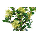 House Nordic - Skimmia Træ H75 cm