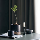 House Doctor - Urtepottesæt med underskål, Astu, 3 stk.