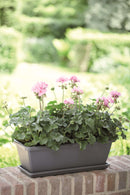 Sort, aflang Barcelona altankasse fra Elho med en grøn og pink plante