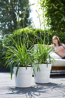 Hvide plantepotter fra Elho med planter i